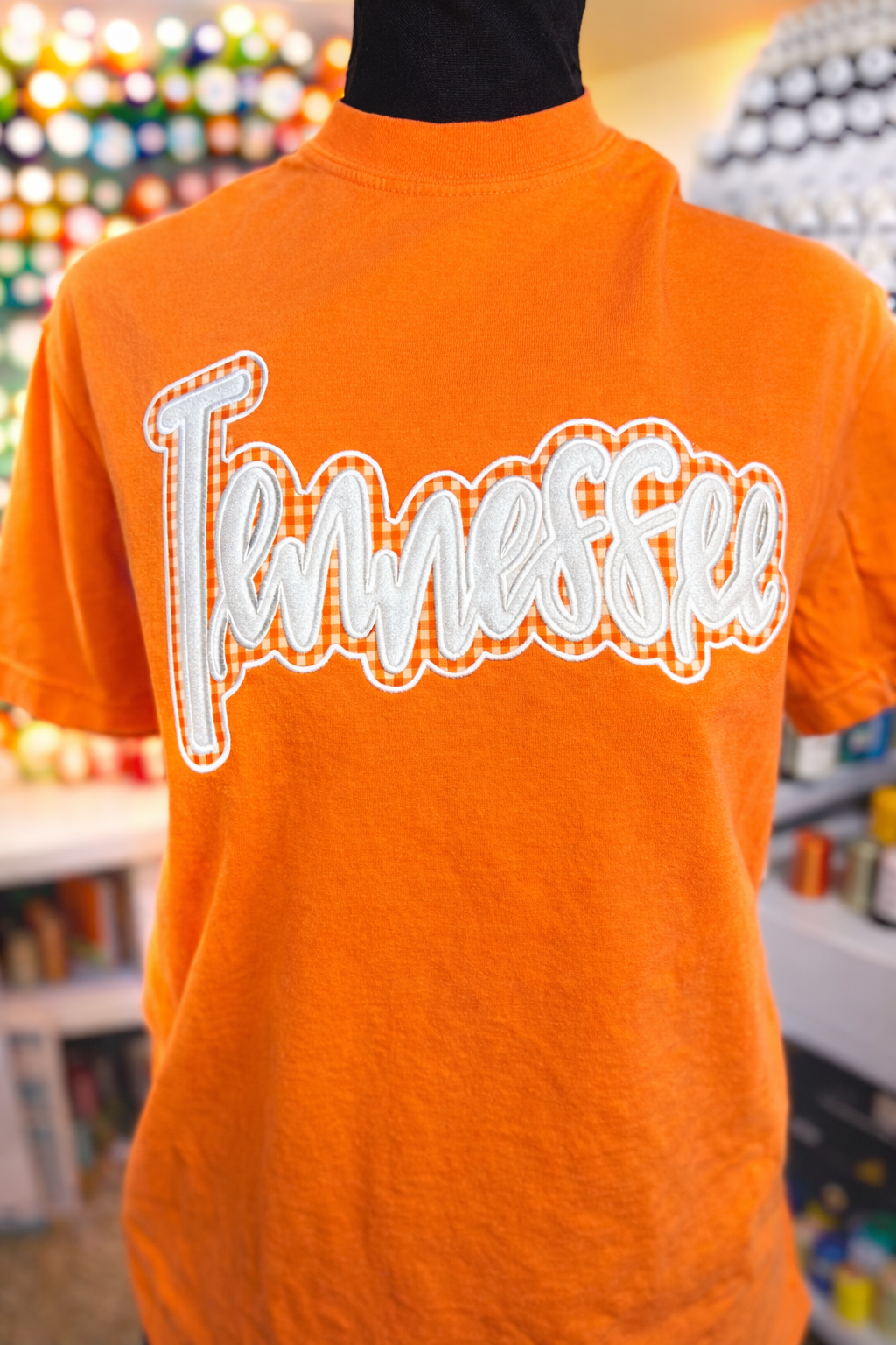 State Applique Embroidered Sweatshirt with Glitter