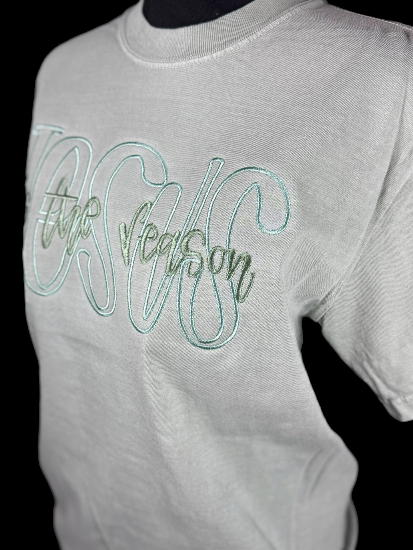 Jesus is the reason Embroidered Comfort color T-shirt
