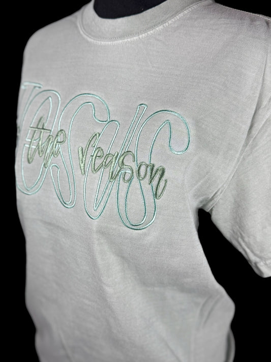 Jesus is the reason Embroidered Comfort color T-shirt