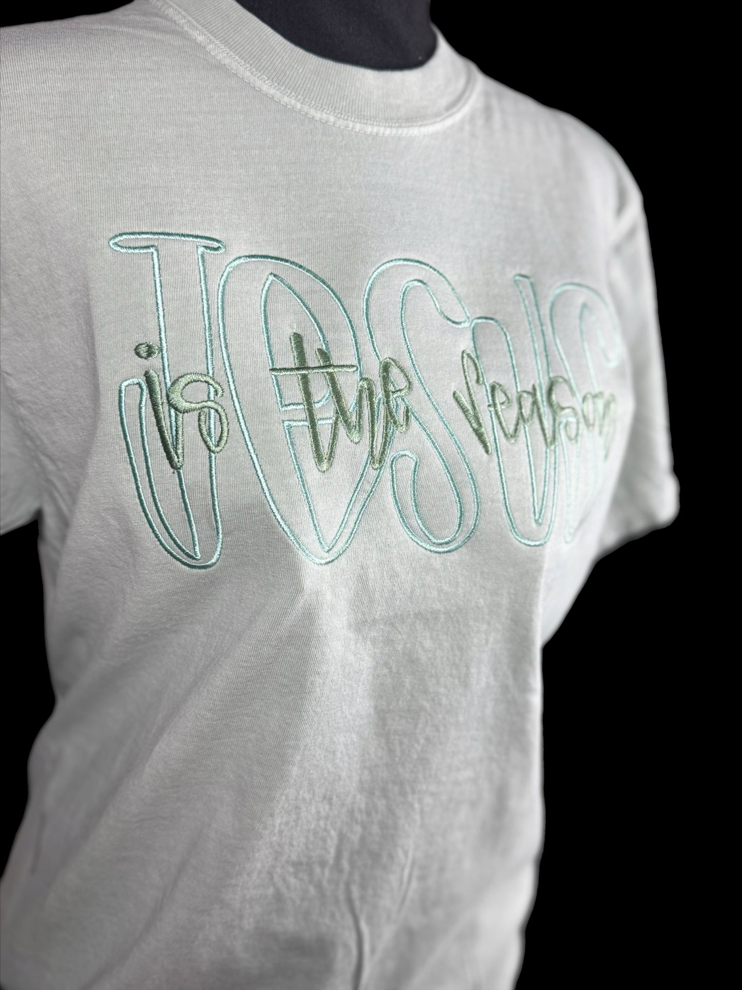 Jesus is the reason Embroidered Comfort color T-shirt