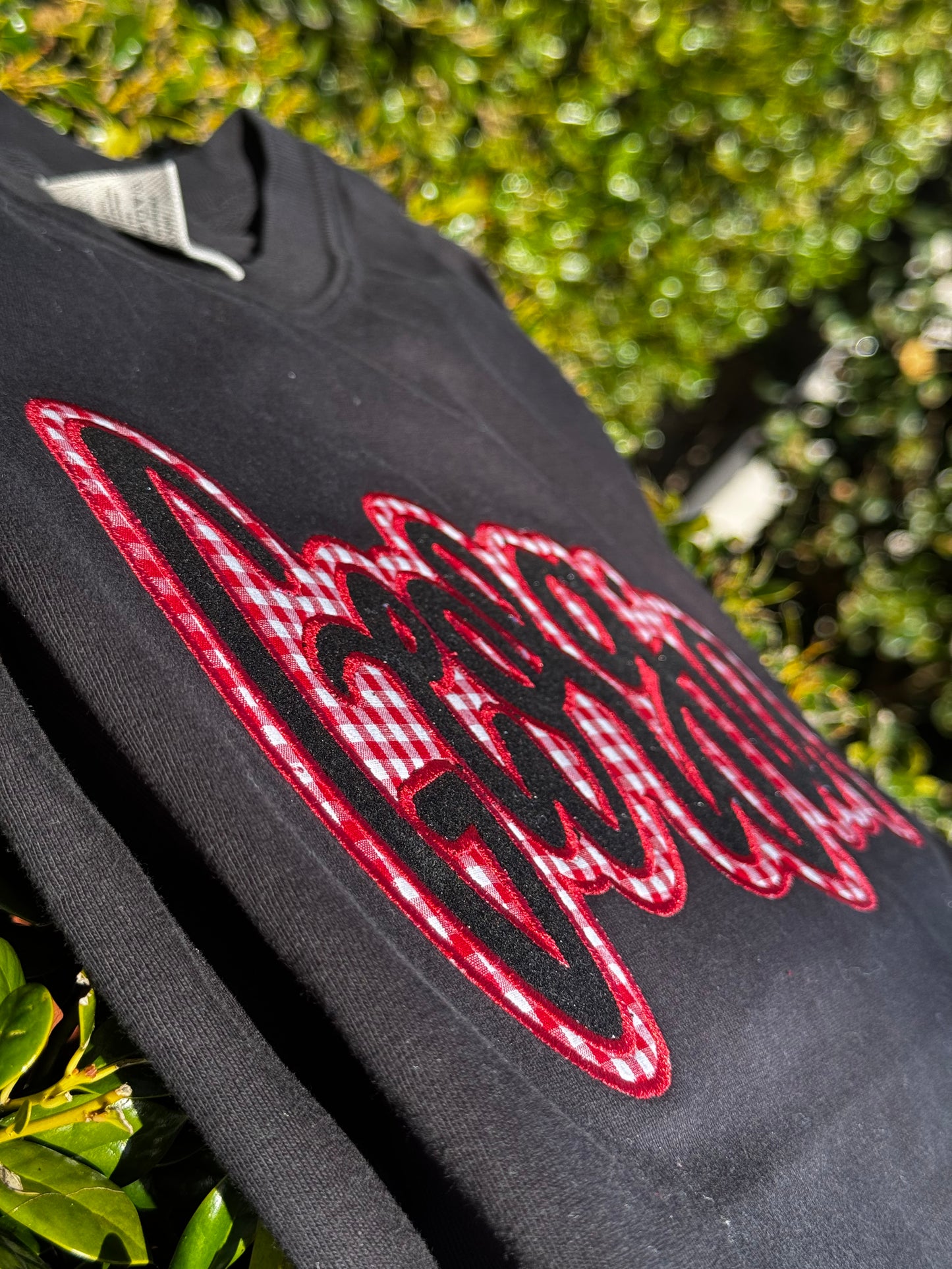 State Applique Embroidered Sweatshirt with Glitter