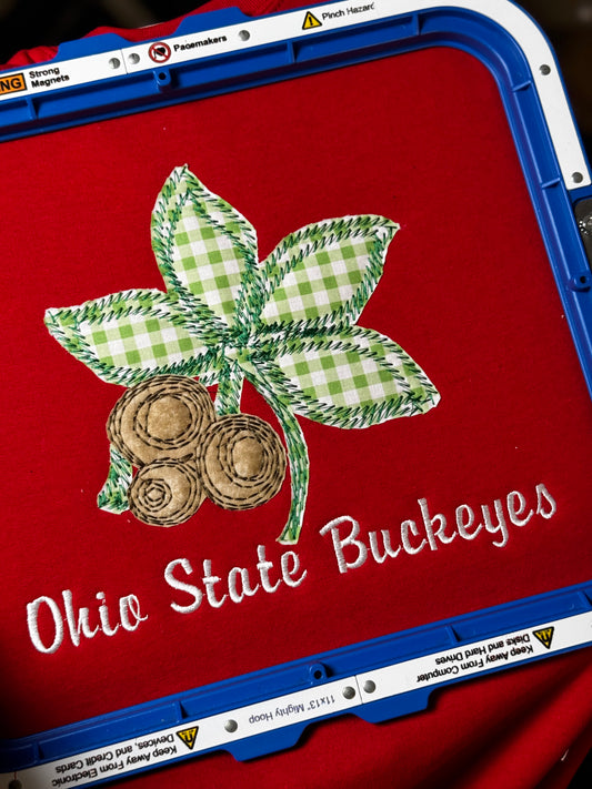 Ohio Appliqué Embroidered Gildan Sweatshirt